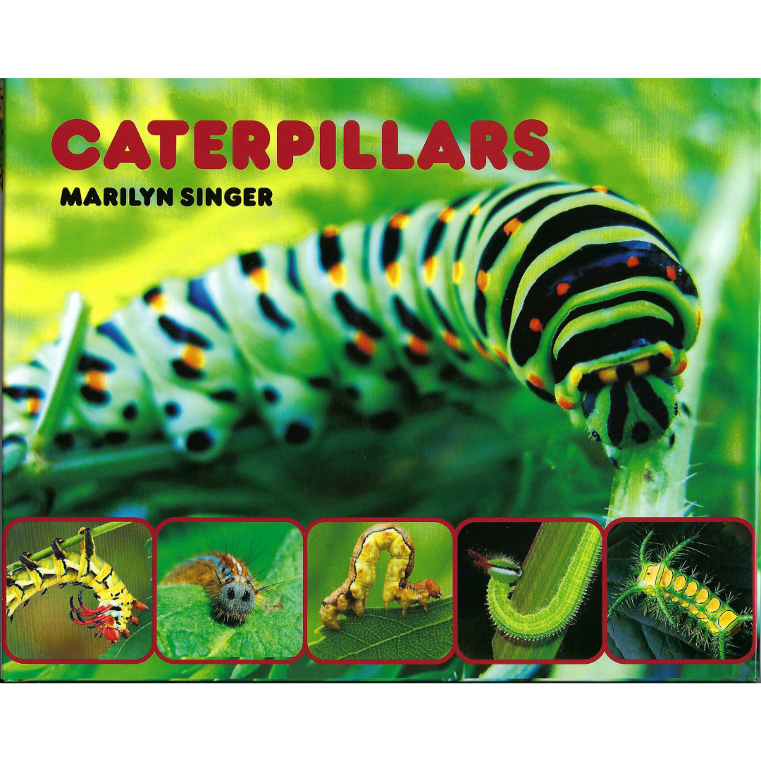 Caterpillars